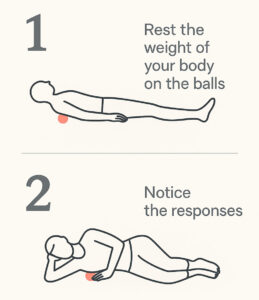 infographic of resting positions